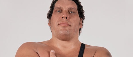 Andre the Giant passed away in 1993