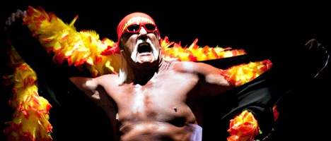 Hulk Hogan is a WWE Hall of Famer