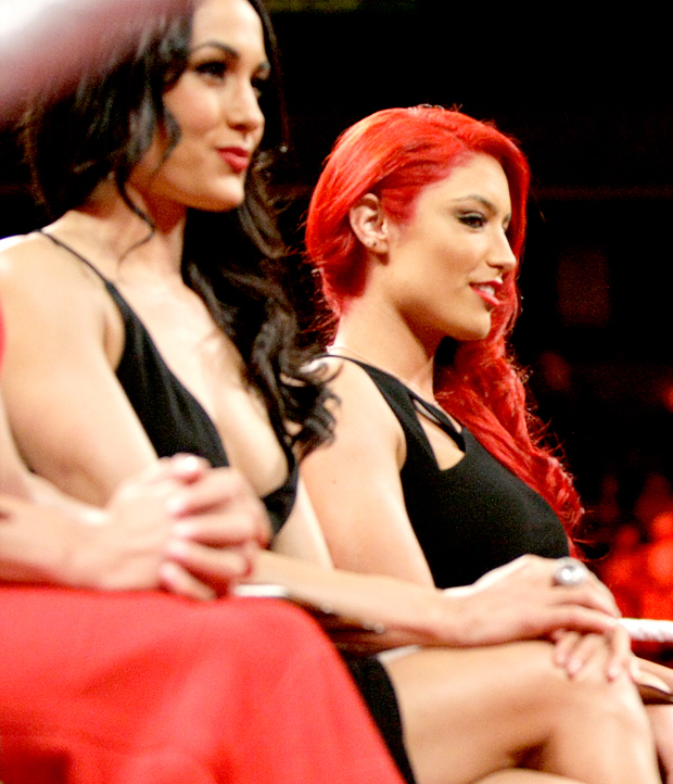 Brie bella wardrobe malfunction on raw Brie bella wardrobe malfunction on raw