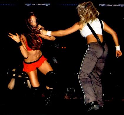 Christy-Hemme-TNA