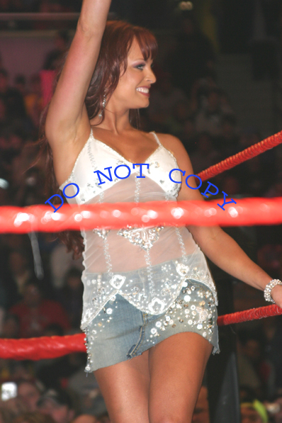 Christy-Hemme-TNA
