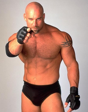 BILL GOLDBERG - WCW - WWE - Steve Austin