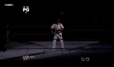 Goldust-Wrestling