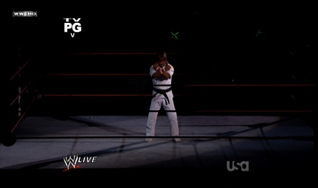 Goldust-Wrestling