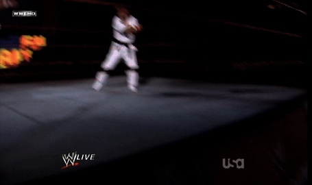 Goldust-Wrestling