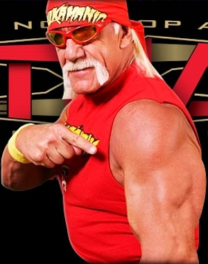 Terry Bollea