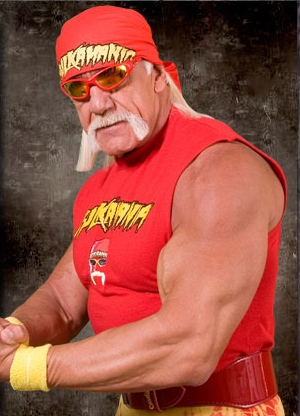 Hulk Hogan TNA Wrestler