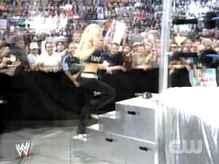 Jillian-Hall-WWE