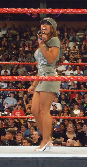 Mickie-James-WWE