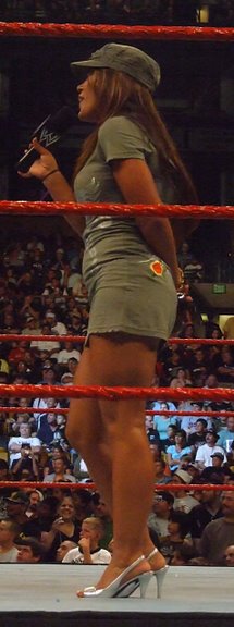 Mickie-James-WWE