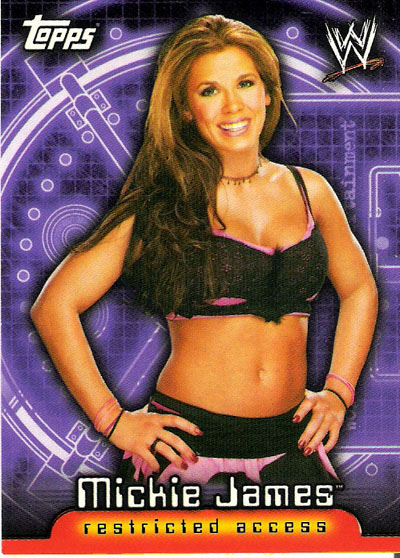 Mickie-James-WWE