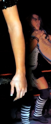 Mickie-James-WWE