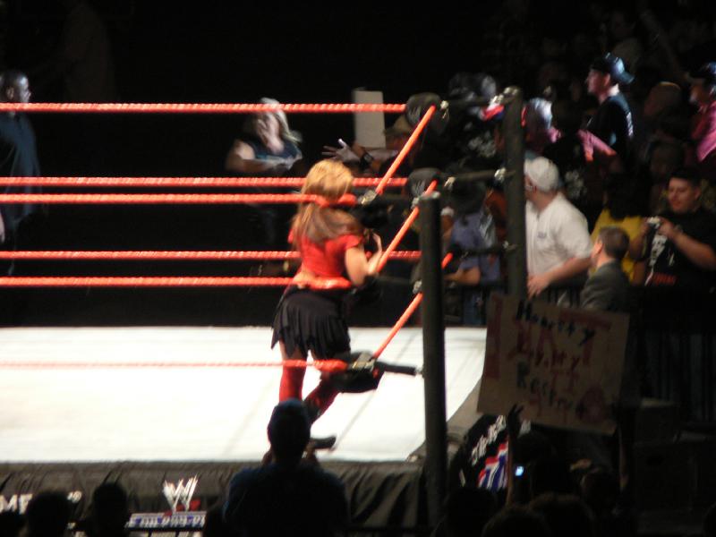 Mickie-James-WWE