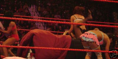 Mickie-James-WWE