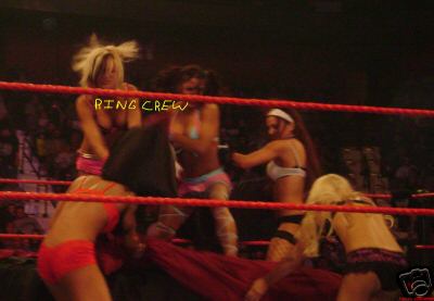 Mickie-James-WWE