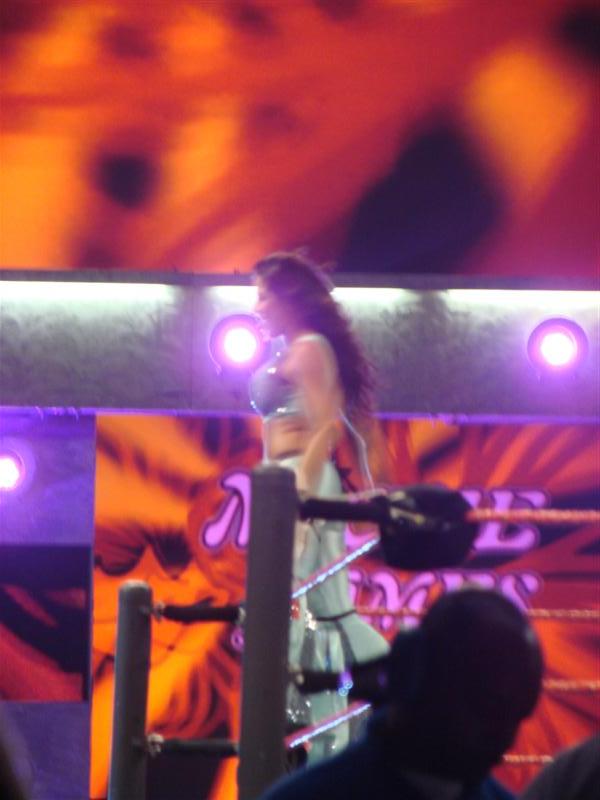 Mickie-James-WWE