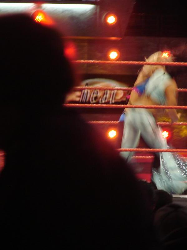 Mickie-James-WWE