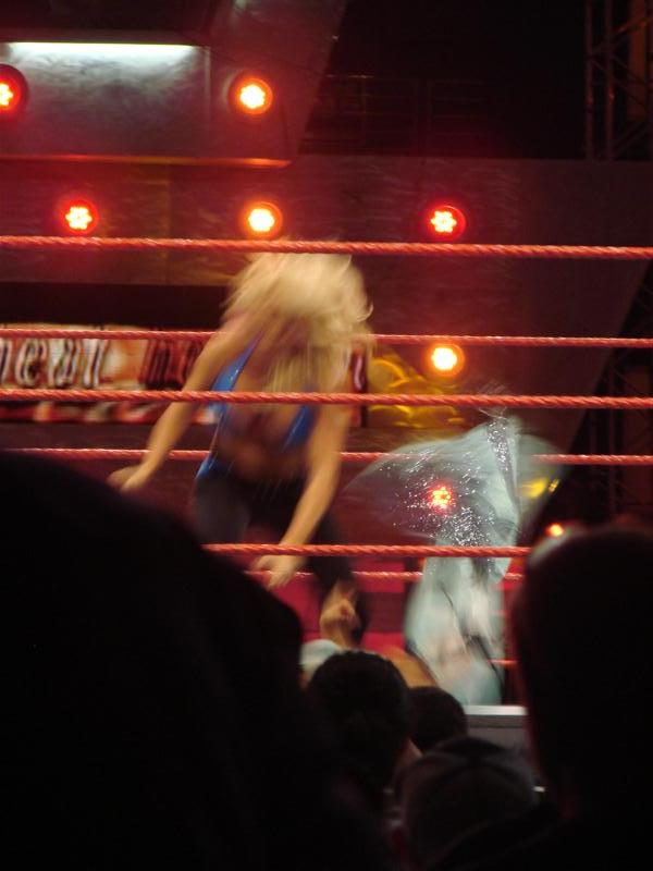 Mickie-James-WWE