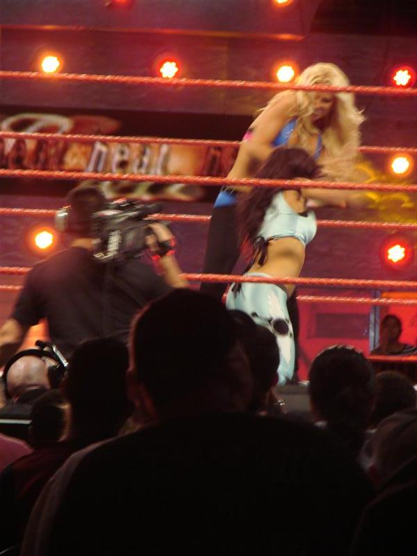 Mickie-James-WWE