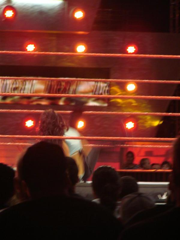Mickie-James-WWE