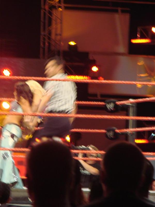 Mickie-James-WWE