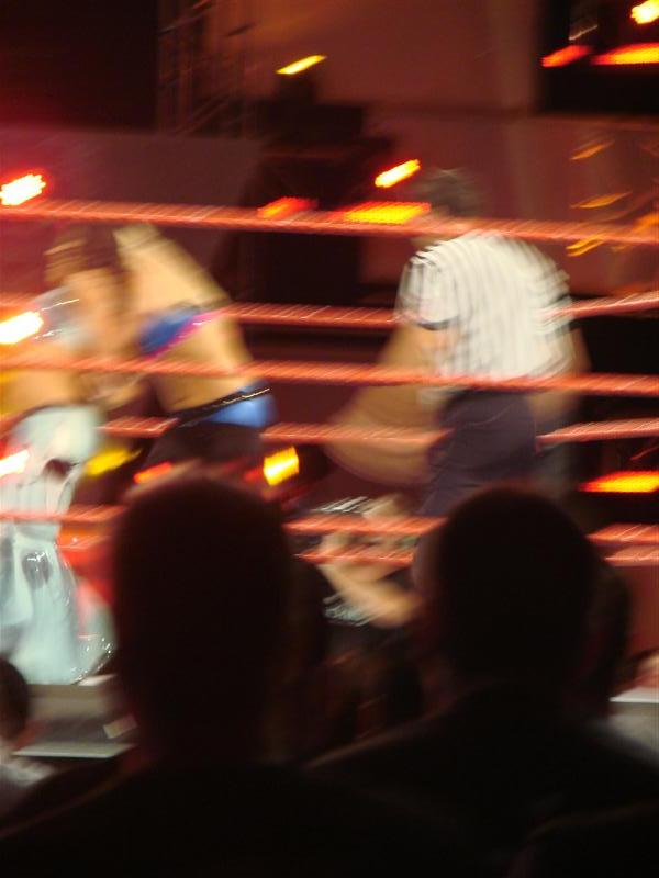Mickie-James-WWE