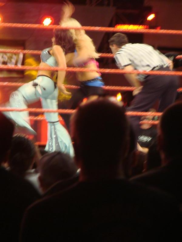 Mickie-James-WWE
