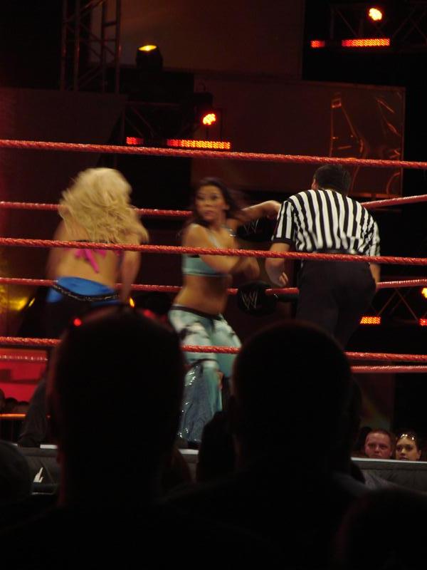 Mickie-James-WWE