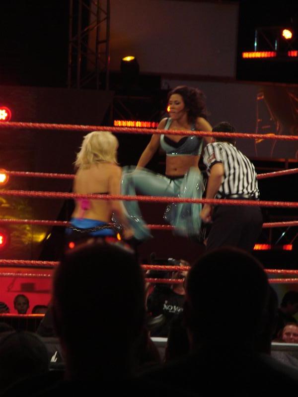 Mickie-James-WWE