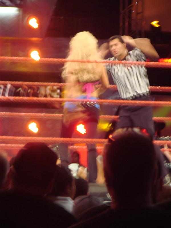 Mickie-James-WWE