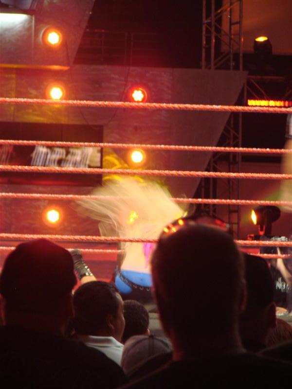 Mickie-James-WWE