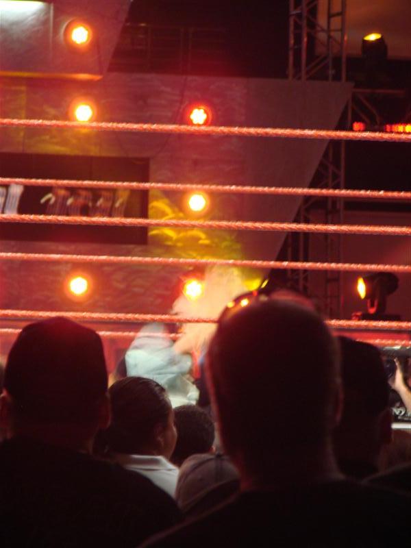Mickie-James-WWE