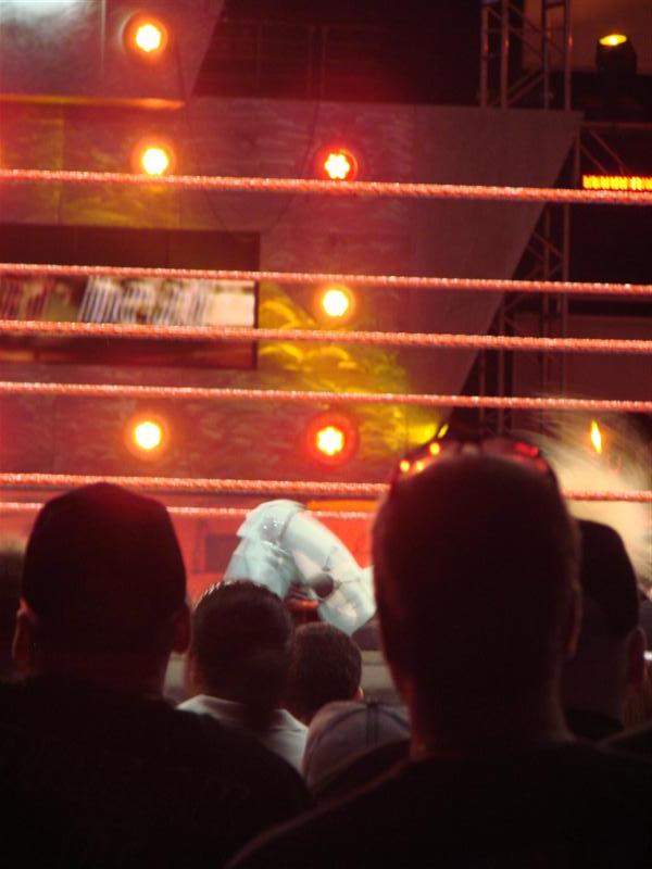 Mickie-James-WWE