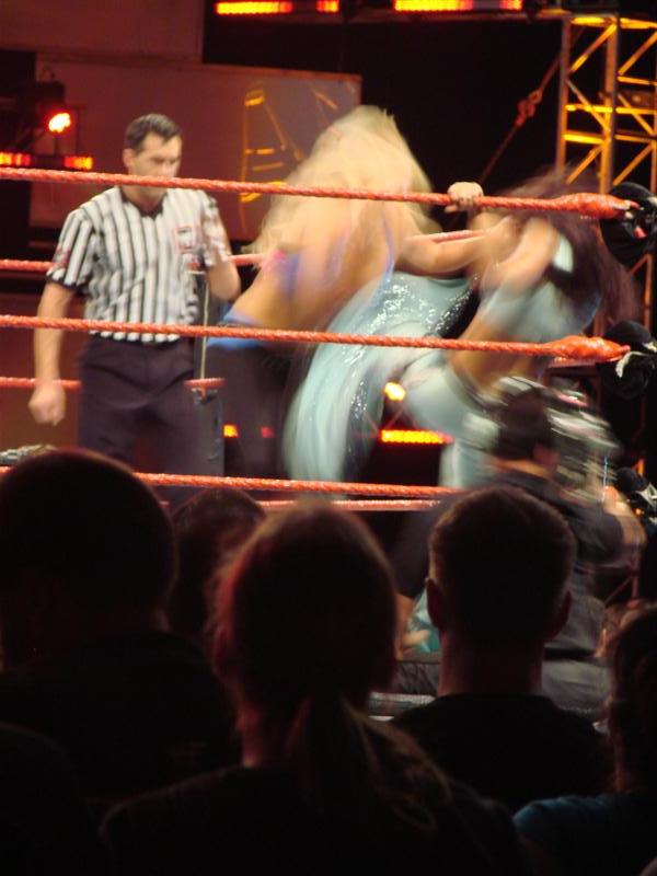 Mickie-James-WWE