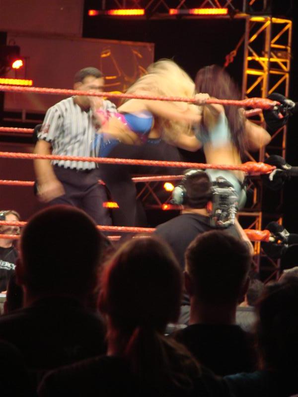 Mickie-James-WWE