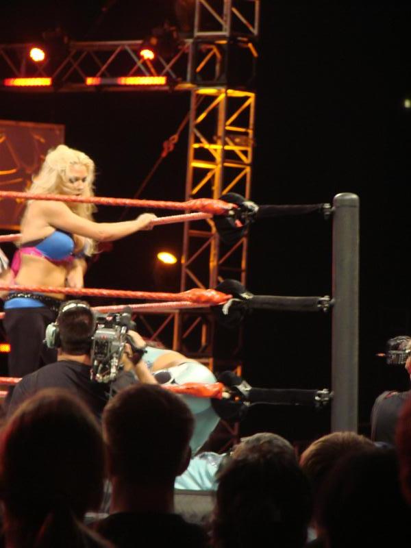 Mickie-James-WWE