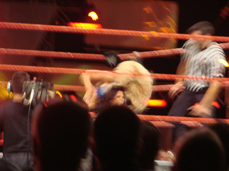 Mickie-James-WWE