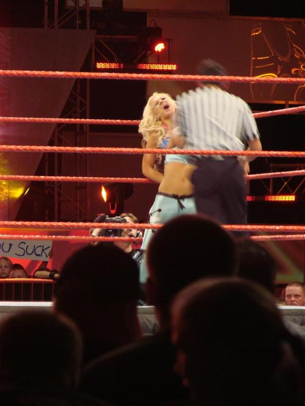 Mickie-James-WWE