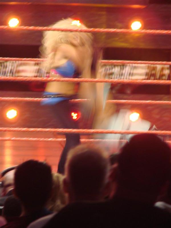 Mickie-James-WWE