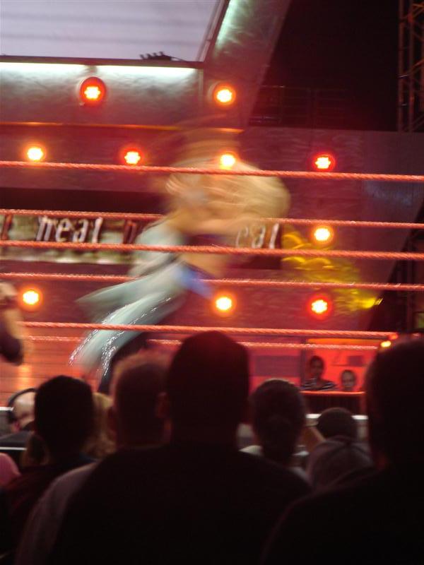 Mickie-James-WWE