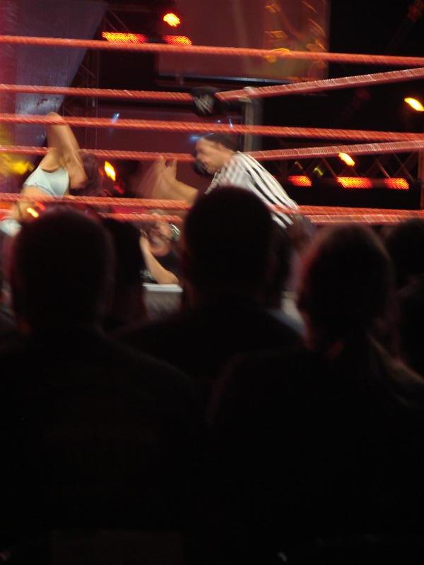 Mickie-James-WWE