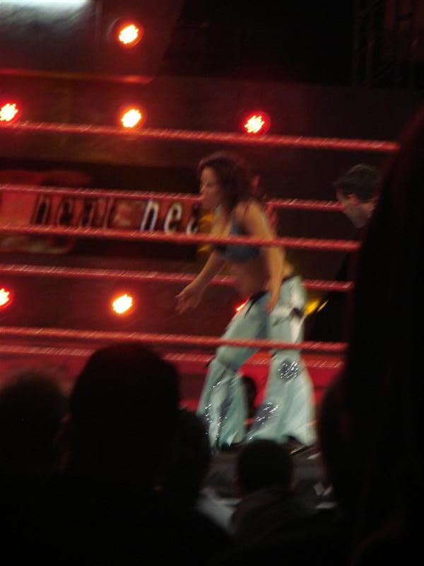 Mickie-James-WWE