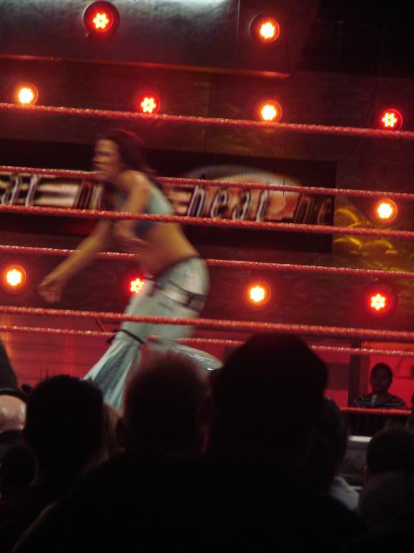 Mickie-James-WWE
