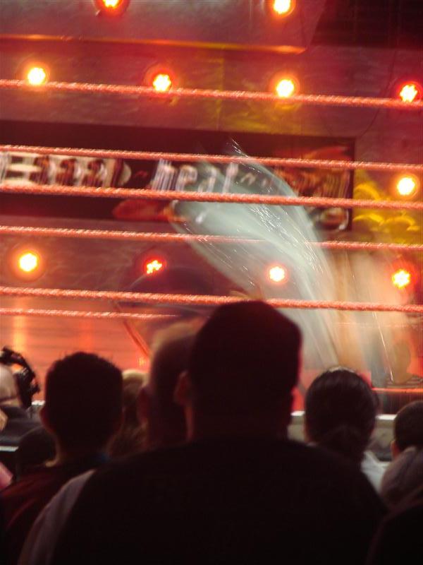 Mickie-James-WWE