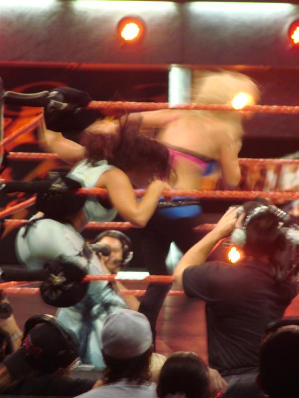 Mickie-James-WWE