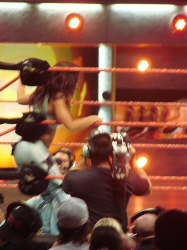 Mickie-James-WWE