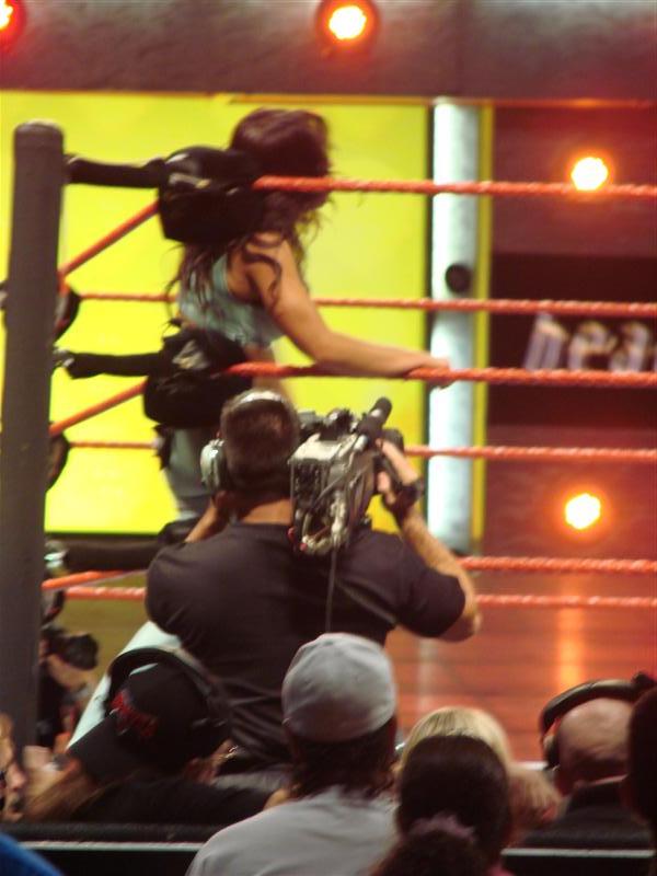 Mickie-James-WWE