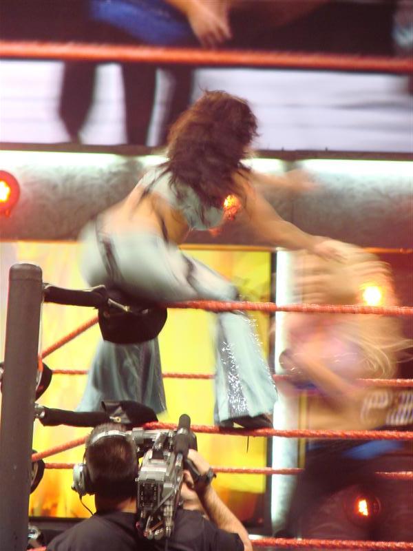 Mickie-James-WWE