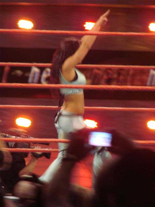 Mickie-James-WWE