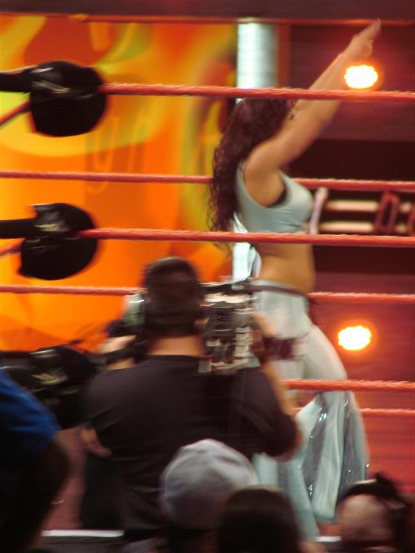 Mickie-James-WWE